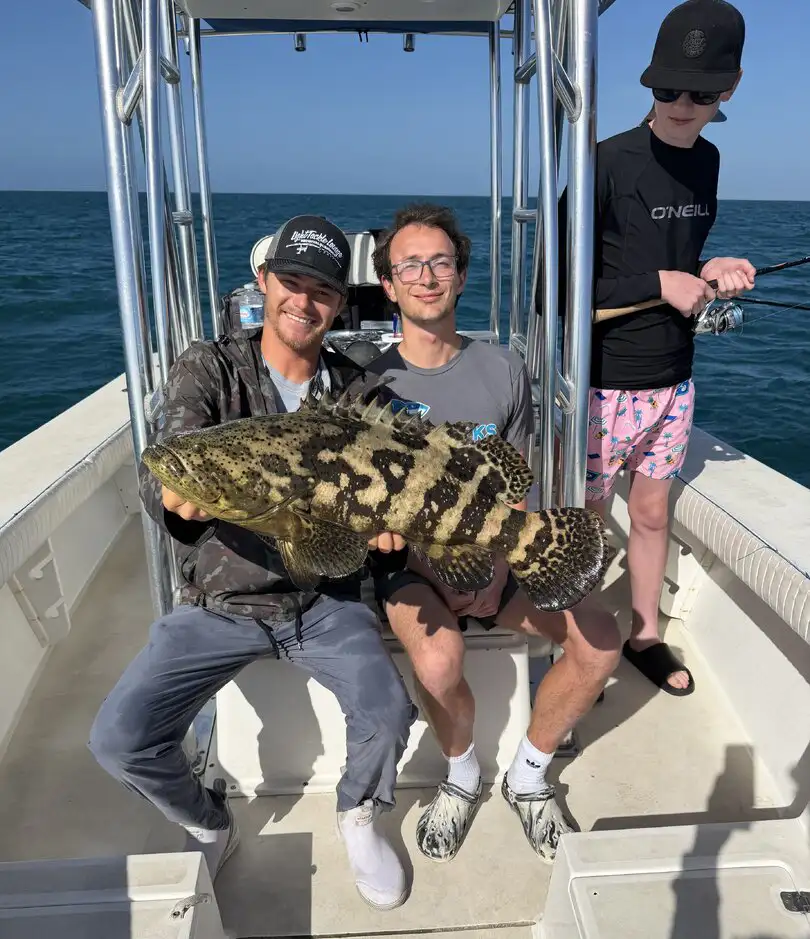 Anglers holding a gag grouper during a Sarasota fishing charter.