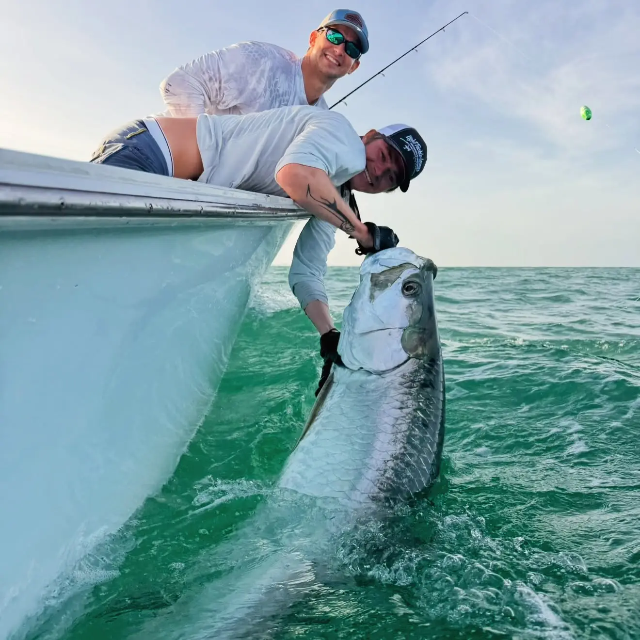 Captain reviving and releasing a trophy tarpon beside the boat during a Sarasota tarpon fishing charter.