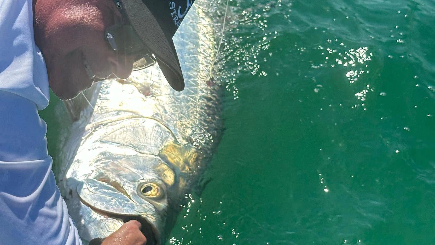 Captain holding a large tarpon beside a Sarasota fishing charter boat moments before a safe release.