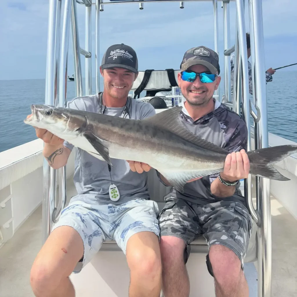 Anglers holding a trophy cobia on a Sarasota offshore fishing charter.
