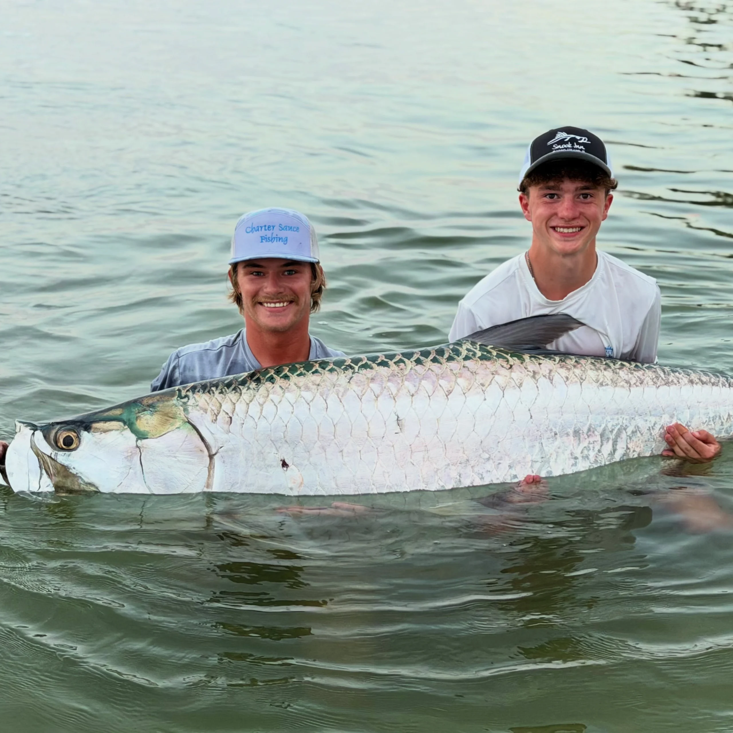 Two anglers holding a large trophy tarpon in the water after a successful catch during a Sarasota fishing charter.